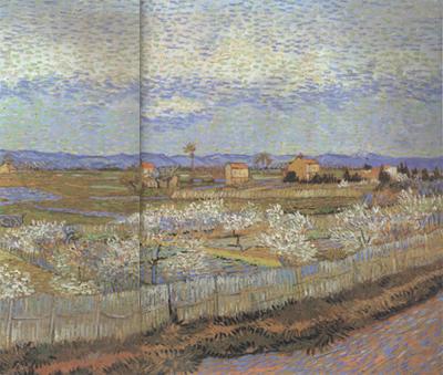 La Crau with Peach Trees in Blossom (nn04), Vincent Van Gogh